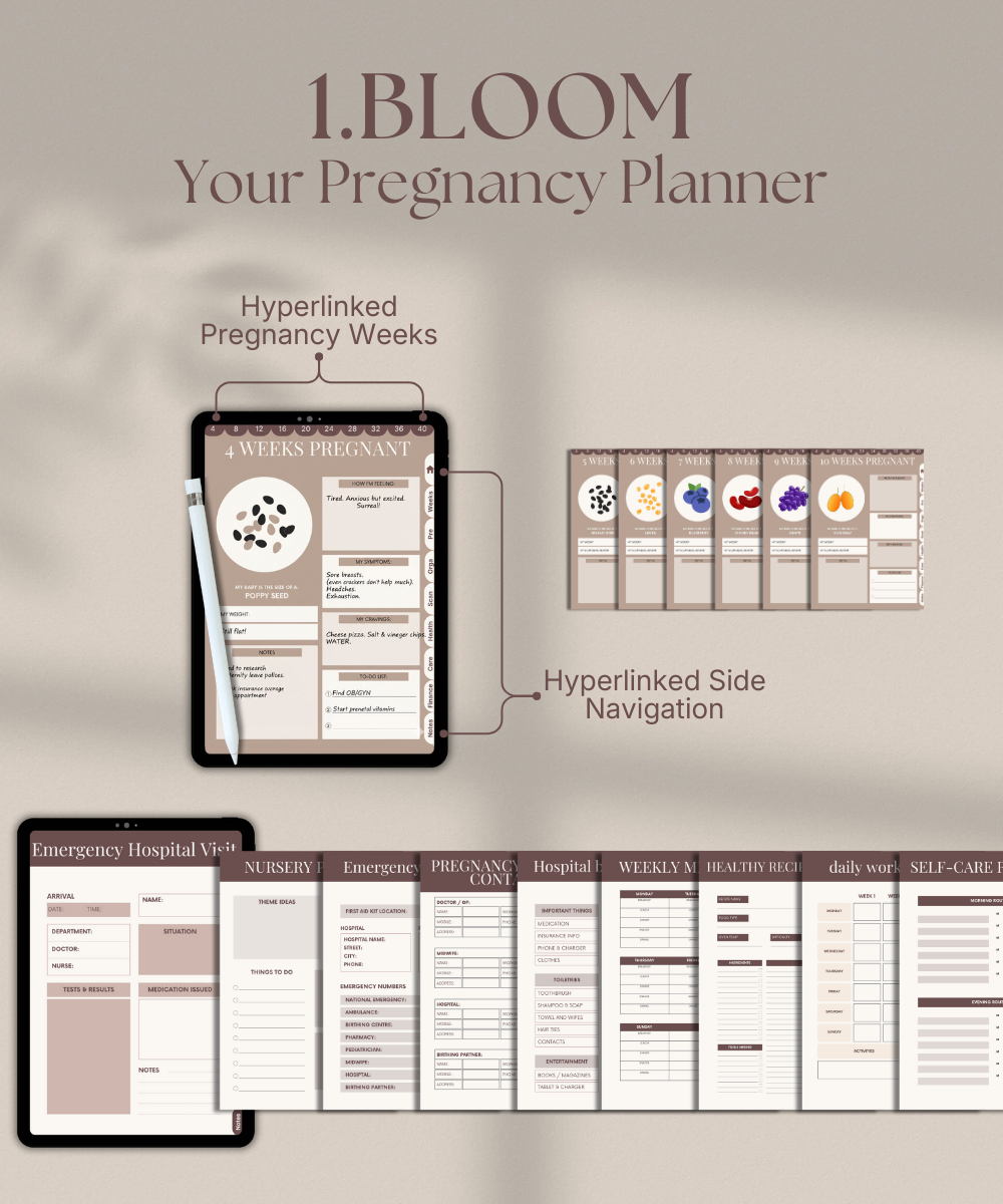 The Pregnancy Essentials Bundle