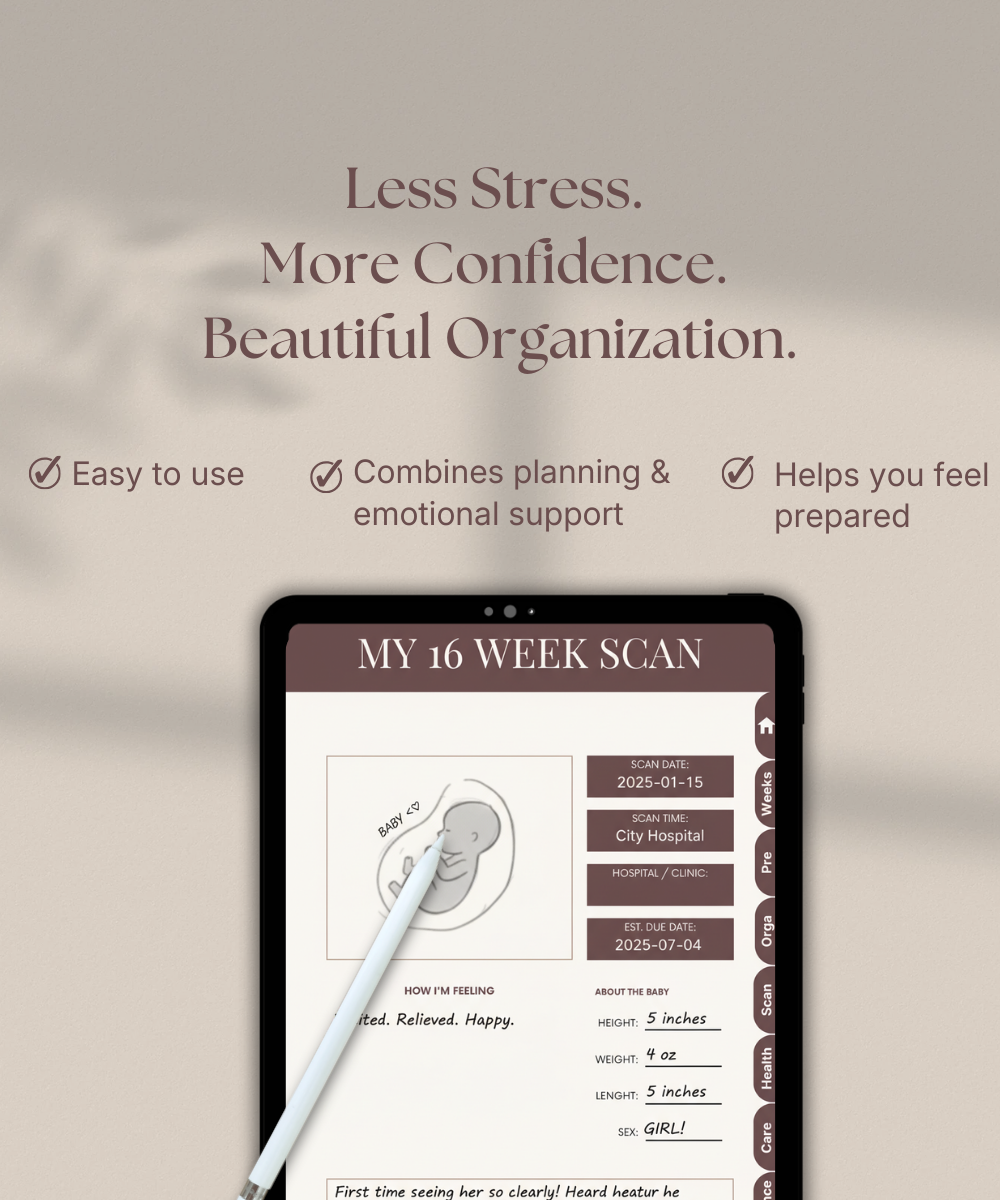 The Pregnancy Essentials Bundle